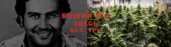 МДПВ Лихославль