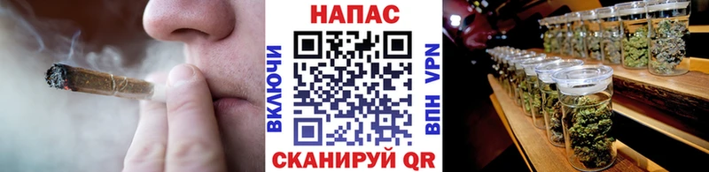 Шишки марихуана марихуана  мега зеркало  Новоалександровск  наркошоп 
